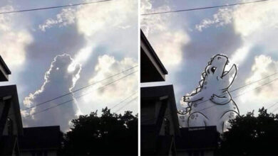 Photo of Художница показывает, как облака превращаются в картинки (20 фото)