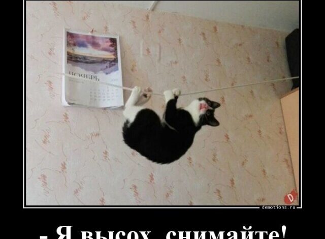 Photo of Прикольные демотиваторы в середине недели: «Я высох, снимайте!» (13 фото)