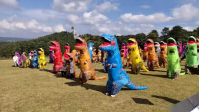 Photo of В Японии пользуются широкой популярностью «гонки тираннозавров»