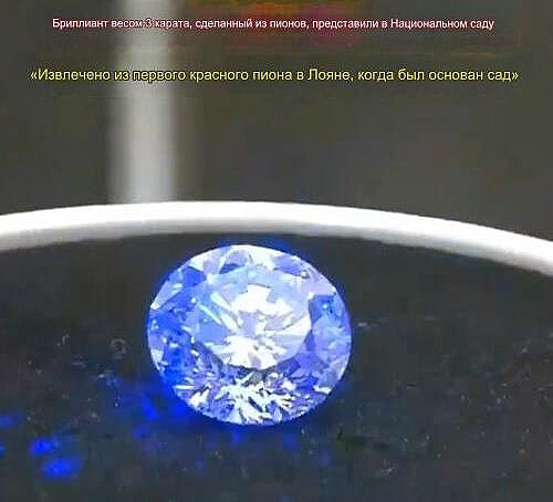 Photo of Китайские учёные заявили о создании первого в мире бриллианта из… красных пионов (фото + видео)