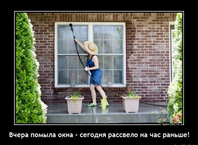 Photo of Демотиваторы дня: «Вчера помыла окна…» (13 фото)
